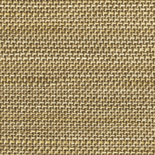 Orithyia | Kenaf 040