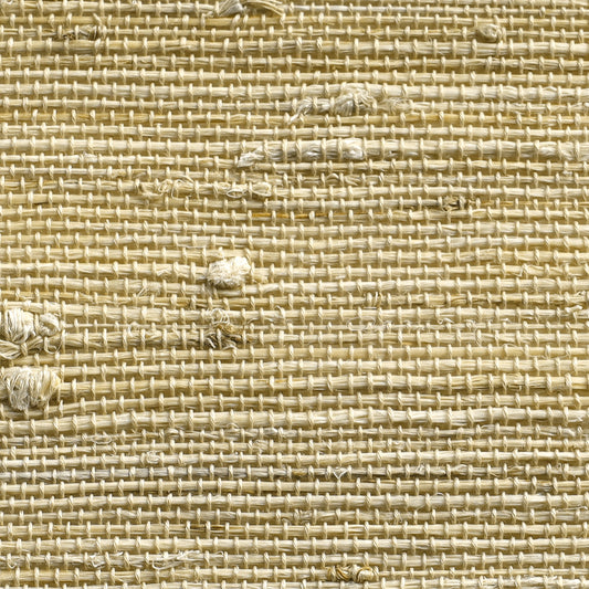 Orithyia | Ramie 390