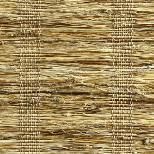 Orithyia | Ramie 427