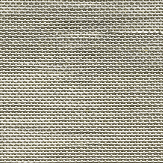 Orithyia | Bamboo 721